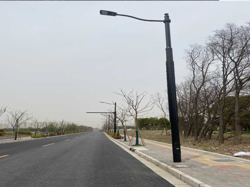 于洪区上海综合杆 太阳能路灯工程